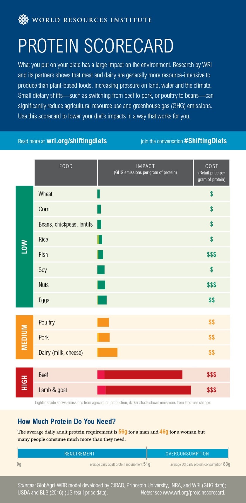 Protein Score Card