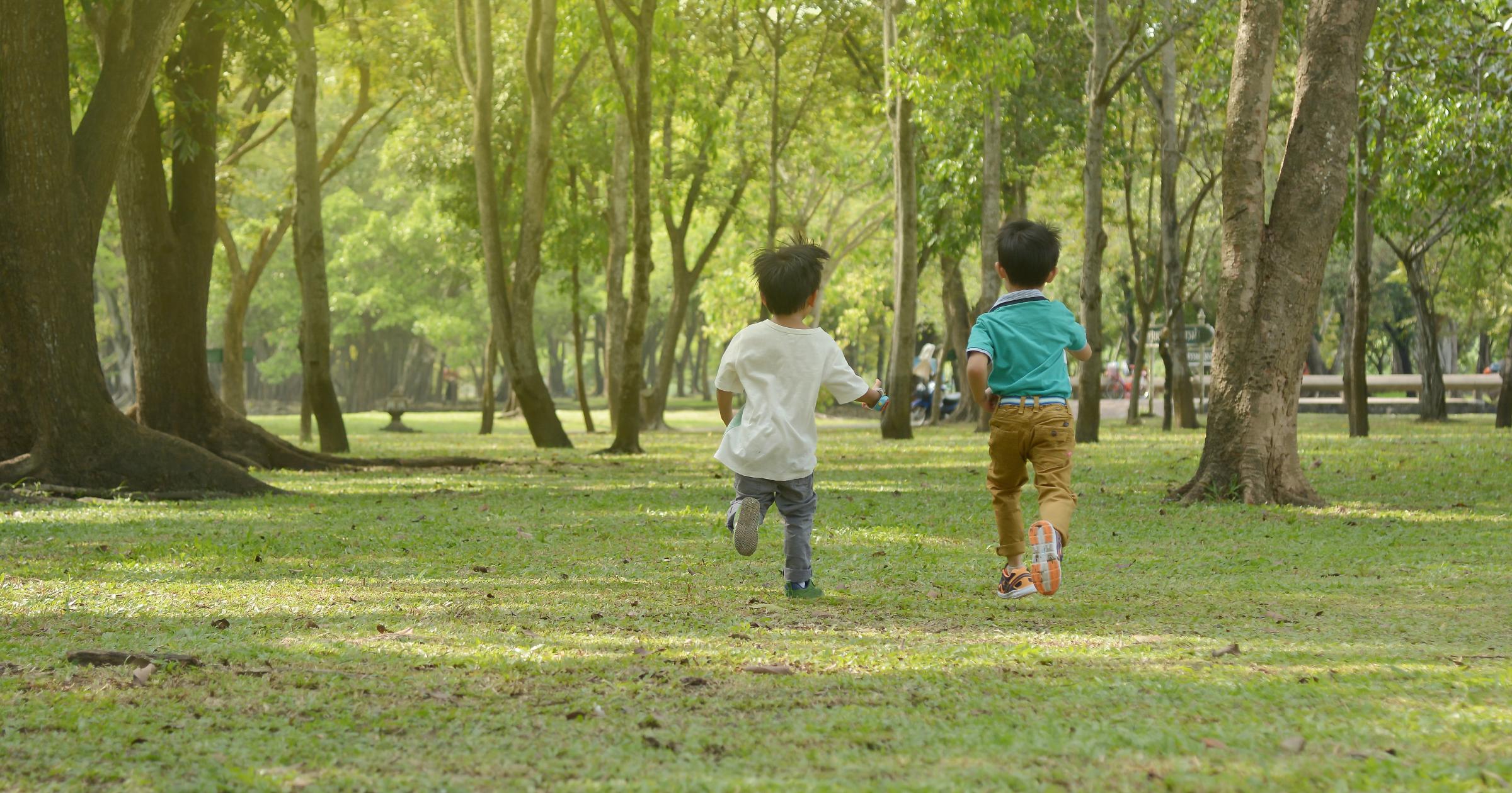 Swoop and Scoop Appetite to Play