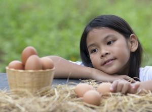 Girl staring at eggs