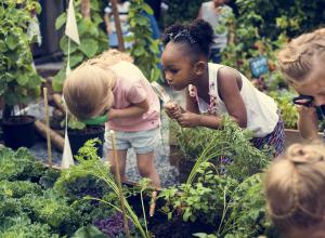 Children looking at plants in a garden.