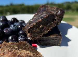 pemmican and berries