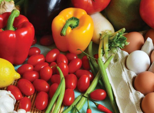 1 OFFER A VARIETY OF FOODS FROM CANADA #39 S FOOD GUIDE FOR MEALS AND