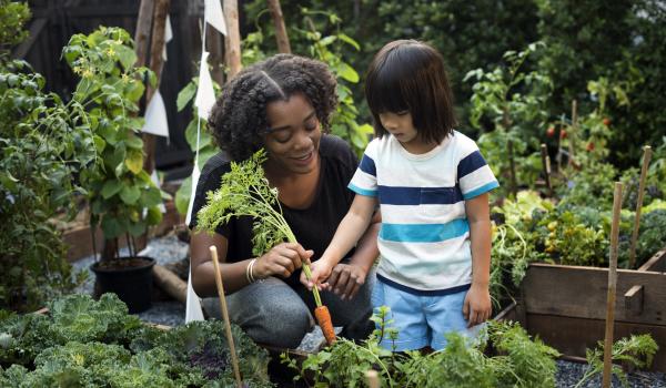 Early years provider showing a young girl the vegetable garden