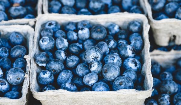 Blueberries in small cartons.