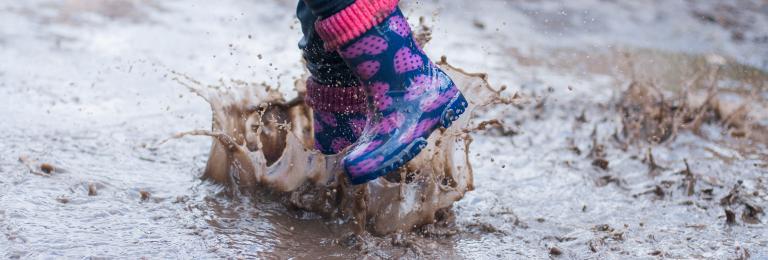 Activity in muddy puddles