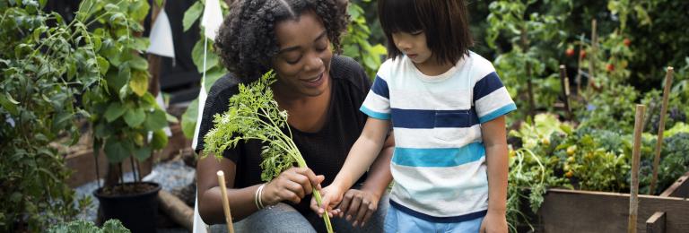 Child and caregiver looking at carrot growing in the garden.