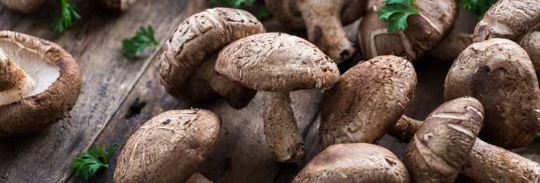 Dried shitake mushrooms