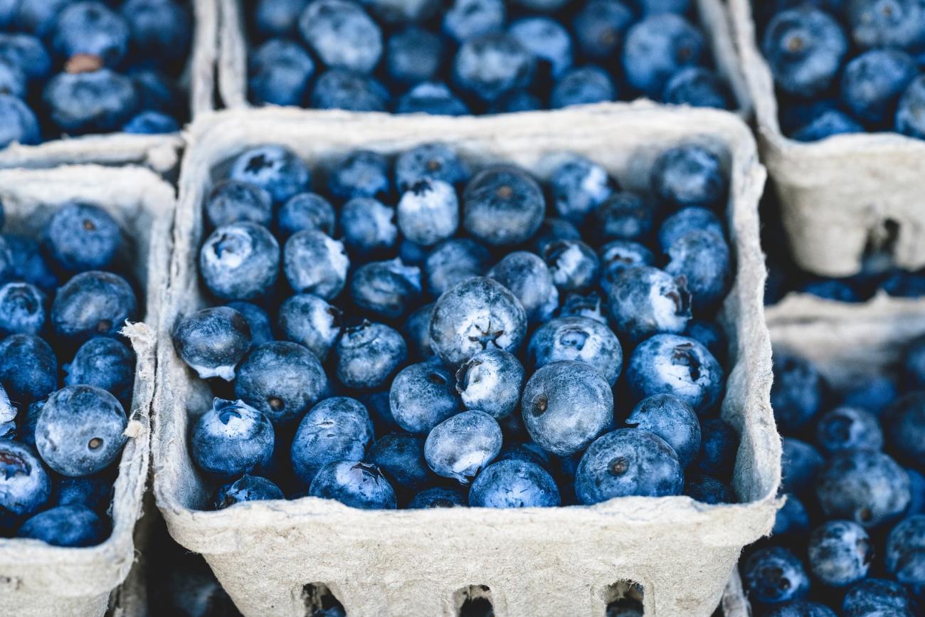 Blueberries in small cartons.
