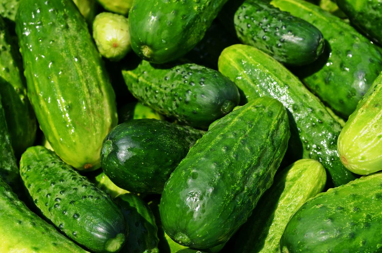 Cucumbers