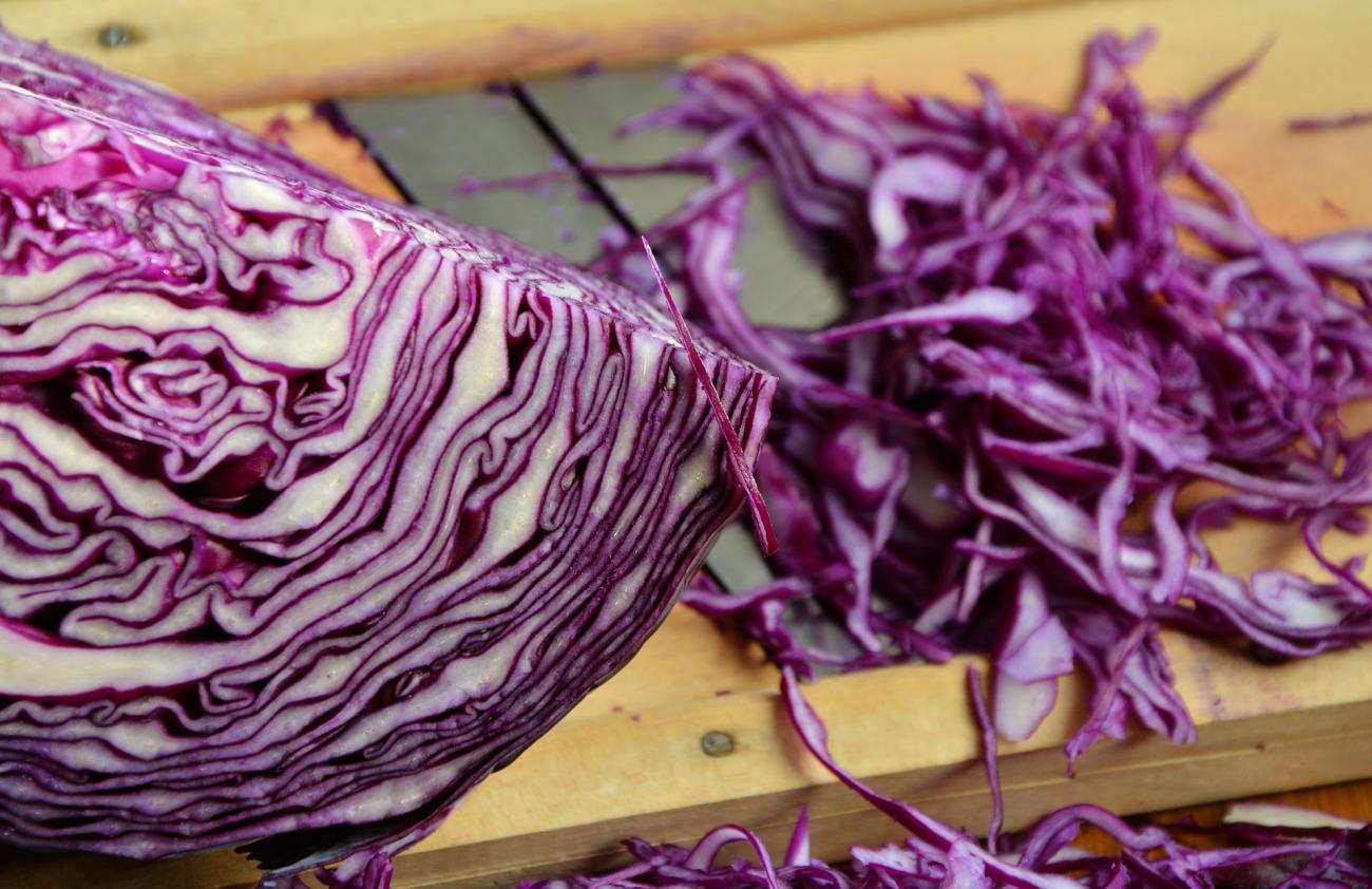Cabbage that can be used in Black Bean Fuente.